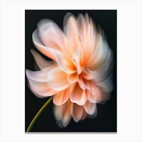 Dahlia Flower 3 Canvas Print