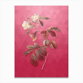 Vintage Pink Alpine Roses Botanical in Gold on Viva Magenta n.0086 Canvas Print