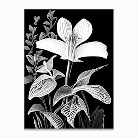 White Trillium Wildflower Linocut 2 Canvas Print
