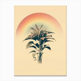 Rainbow Plant Canvas Print