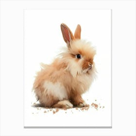 English Angora Nursery Illustration 2 Canvas Print