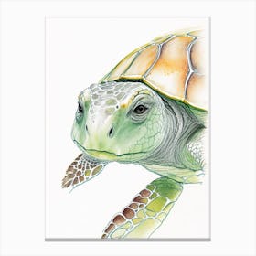 Sea Turtle Close Up, Sea Turtle Pencil Illustration 1 Canvas Print