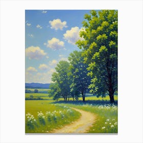 Path Through A Field Canvas Print