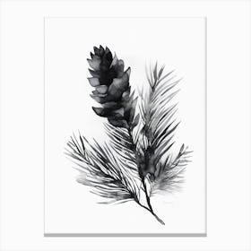 Pinecone Canvas Print