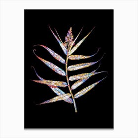 Stained Glass Bush Cane Mosaic Botanical Illustration on Black n.0070 Canvas Print