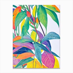 Hoya Eclectic Boho Plant Canvas Print