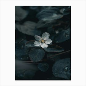 Black And White Flower 4 Canvas Print