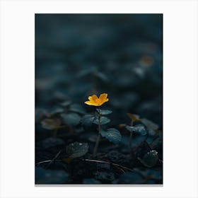 Yellow Flower In The Dark 7 Canvas Print