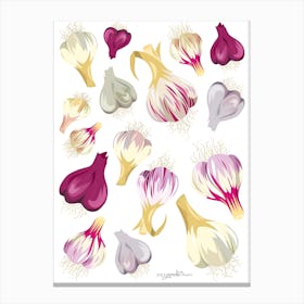 Gourmet Garlic Canvas Print