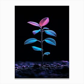 Plant In The Dark 31 Canvas Print