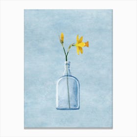 Daffodil In A Bottle Canvas Print