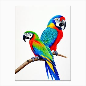 Macaw Watercolour Bird Canvas Print