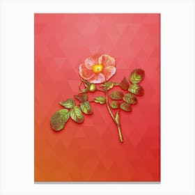 Vintage Japanese Rose Botanical Art on Fiery Red n.1166 Canvas Print
