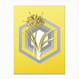 Botanical Guernsey Lily in Gray and Yellow Gradient n.068 Canvas Print
