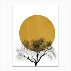 Winter Morning, Tree In The Sun Canvas Print