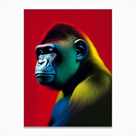 Baby Gorilla Gorillas Primary Colours 1 Canvas Print