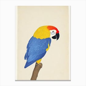 Parrot Illustration Bird Canvas Print