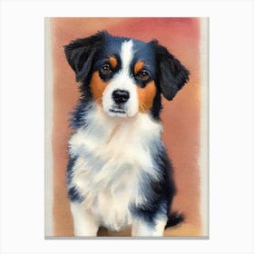 Miniature American Shepherd Watercolour dog Canvas Print