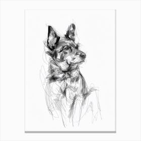 Miniature American Shepherd Dog Charcoal Line 4 Canvas Print