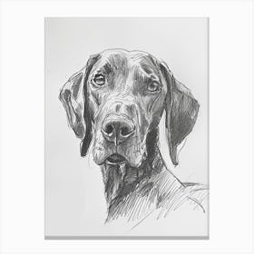 Redbone Hound Dog Charcoal Line 2 Canvas Print