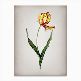 Vintage Didier's Tulip Botanical on Parchment n.0616 Canvas Print
