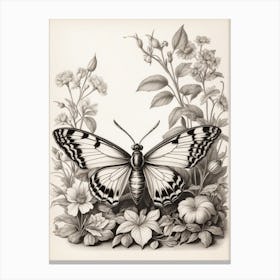 Butterfly And Flowers 1 Canvas Print