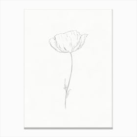 Poppy Flower Sketch Canvas Print