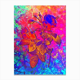 Pink Boursault Rose Botanical in Acid Neon Pink Green and Blue Canvas Print