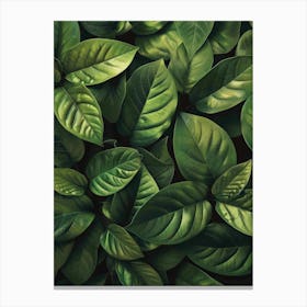 Green Leaves Background 3 Canvas Print