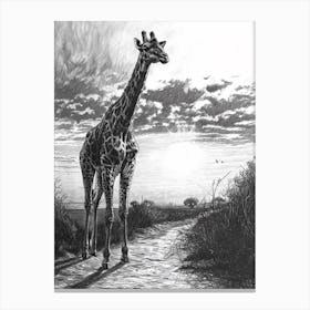 Pencil Portrait Of Giraffe In The Sun Canvas Print