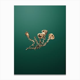 Gold Botanical Gillies Purslane Flower Branch on Dark Spring Green Canvas Print
