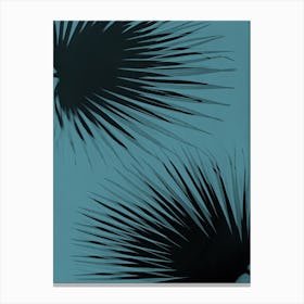 Black teal palm leaves Canvas Print