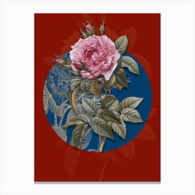 Vintage Botanical Pink French Rose on Circle Blue on Red n.0059 Canvas Print