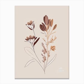 Chicory Spices And Herbs Retro Minimal 1 Canvas Print