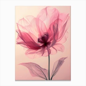 Pink flower watercolor art Canvas Print