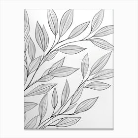 Drawing Of A Leaf Canvas Print