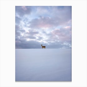 Alone Deer Canvas Print