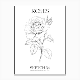 Roses Sketch 34 Poster Canvas Print