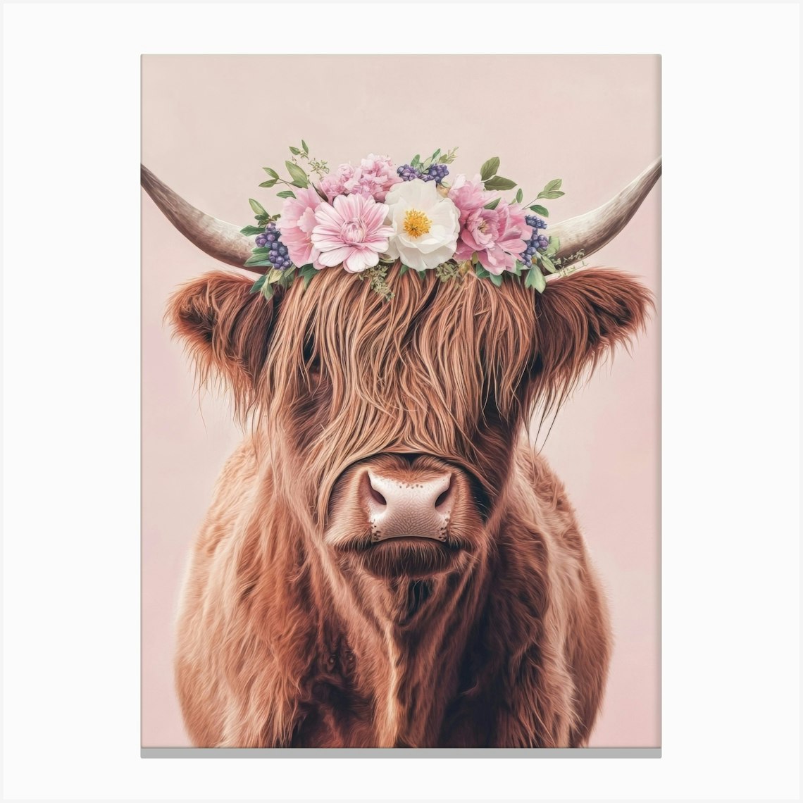 Highland Cow 1 Leinwandbild