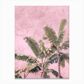 Banana Trees On A Pink Wall Canvas Print