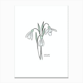 January Snowdrop Birth Flower 1 Canvas Print