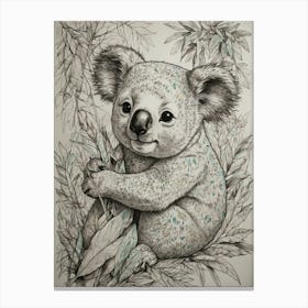 Koala 28 Canvas Print