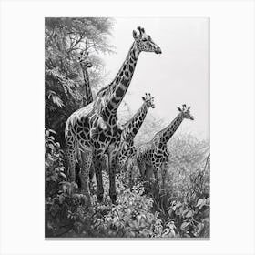 Giraffes In The Wild Pencil Portrait 2 Canvas Print