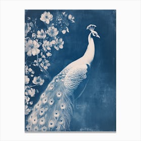 Floral White & Blue Peacock 3 Canvas Print