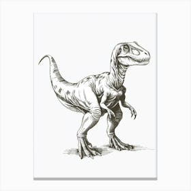 Sinornithosaurus Dinosaur Black Shading 1 Canvas Print