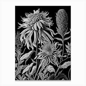 Bee Balm Wildflower Linocut 1 Canvas Print