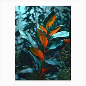 Leaf In The Forest Canvas Print