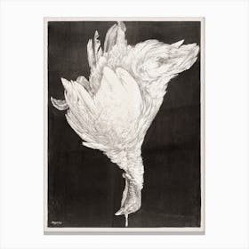 Dead Turkey, Theo Van Hoytema Canvas Print