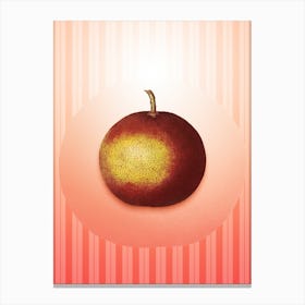 Adam's Apple Vintage Botanical in Peach Fuzz Awning Stripes Pattern n.0202 Canvas Print