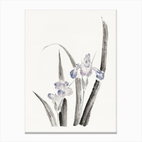 Japanese Iris Flower, Katsushika Hokusai Canvas Print